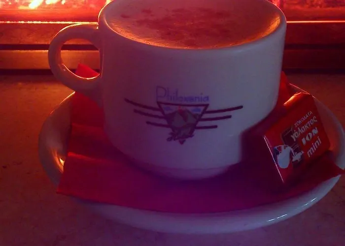 Philoxenia Paranesti